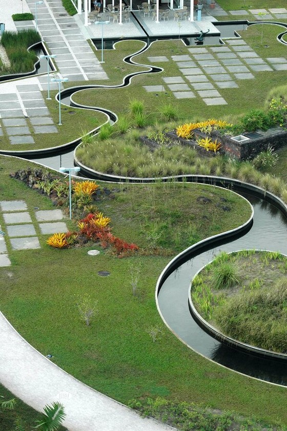Curving Water Channels in a Green Landscape Plaza