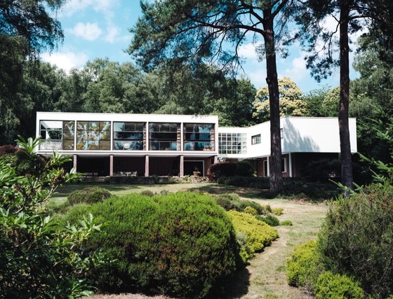 Mid-Century Glass House in a Pine Garden