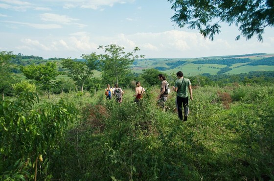 Group Walking Through Regenerating Hillside Scrub