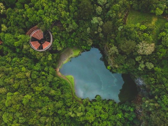 Round Pavilion Beside a Forest Pond from Above