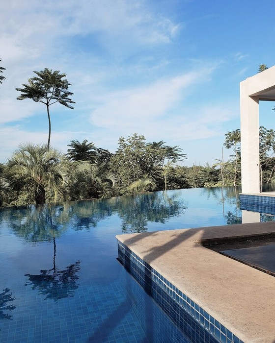 Infinity Pool Overlooking Tropical Forest