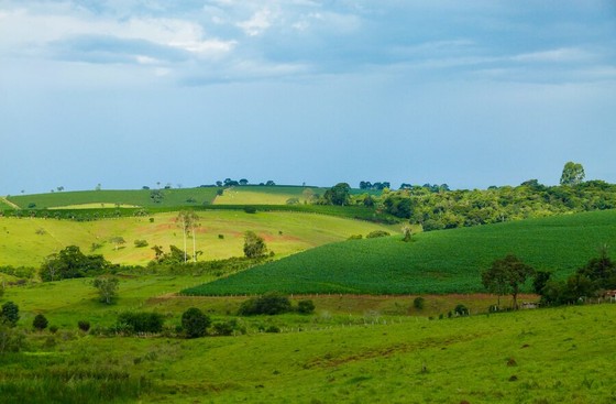 Green Farmland Rolling Across Tropical Hills