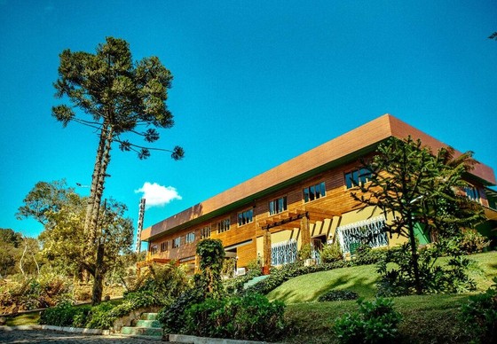 Timber Lodge Among Araucaria Pines on a Slope