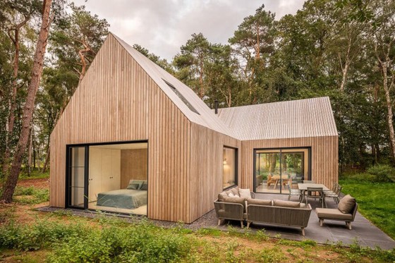 Modern timber-clad cabin in a pine forest
