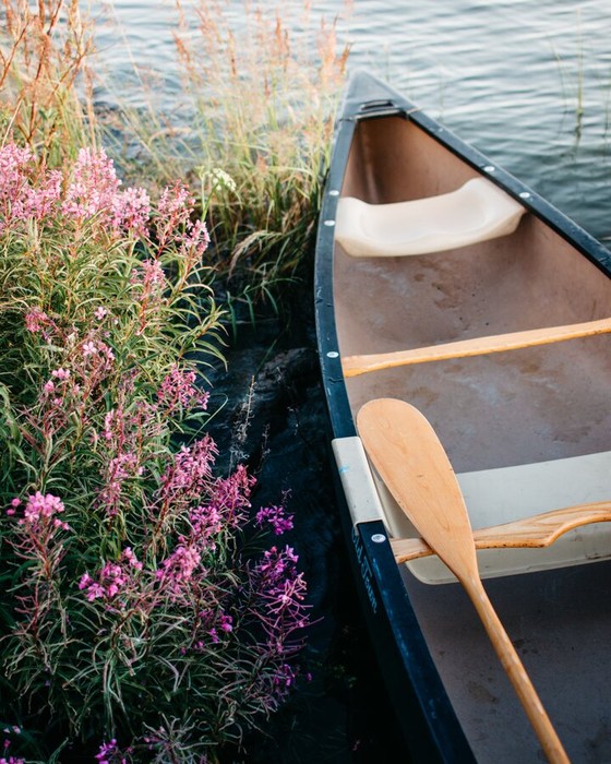 Canoe moored among flowering reeds at the water's edge