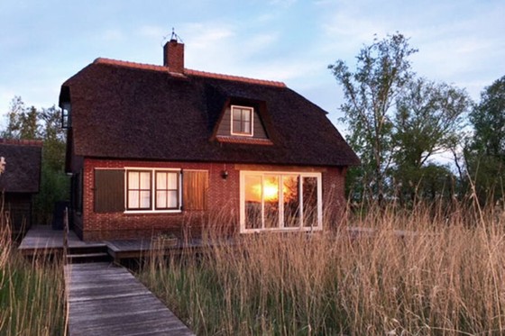 Thatched brick cottage among tall reeds at dusk