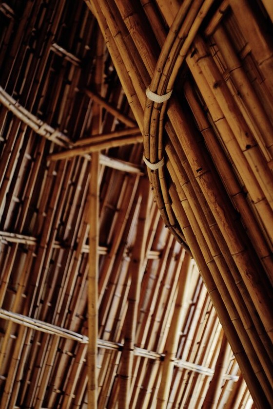 Bamboo Structural Roof Interior