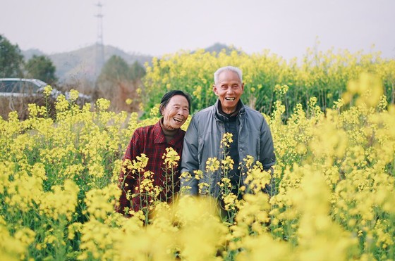 Elderly Couple Laughing in a Rapeseed Field