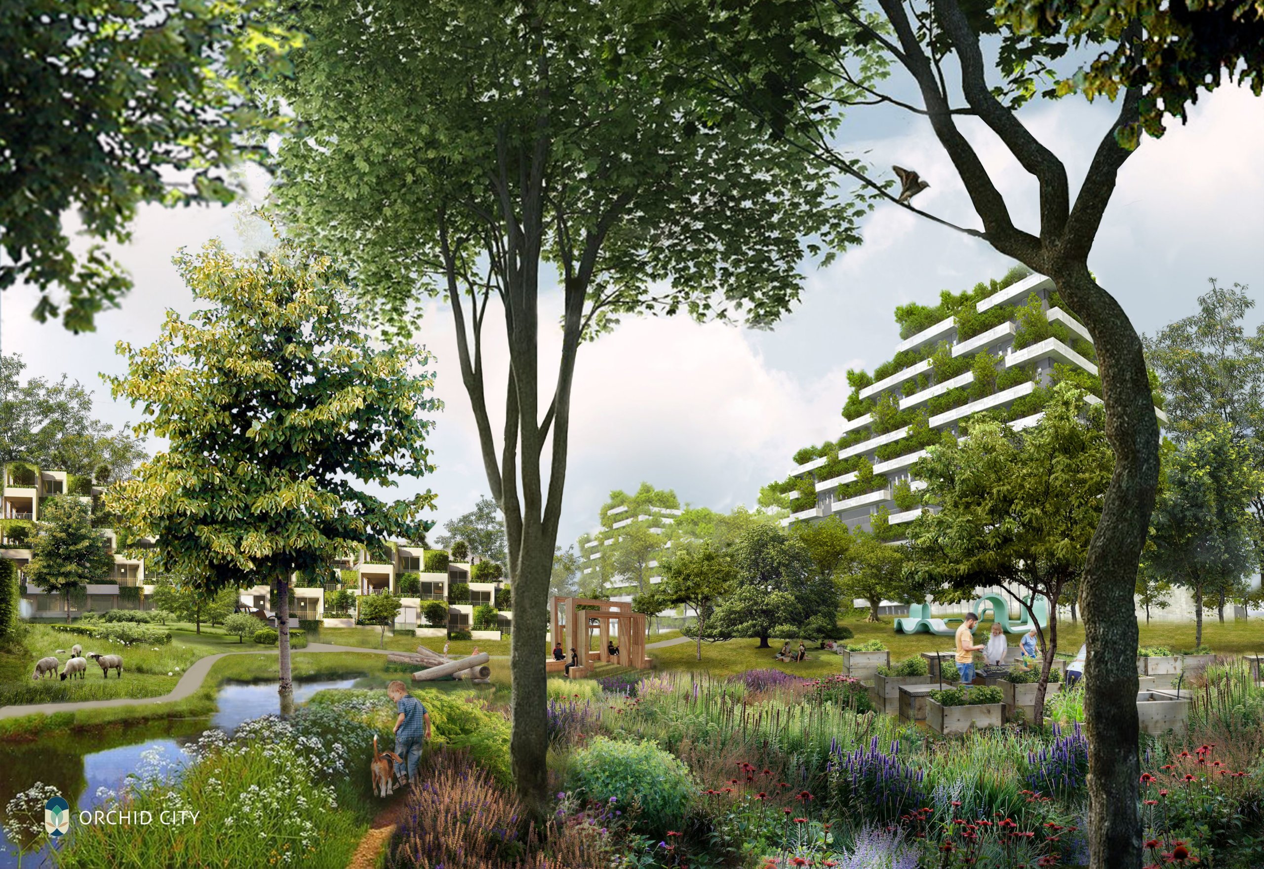 Orchid City urban design